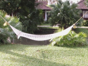 hammock.JPG